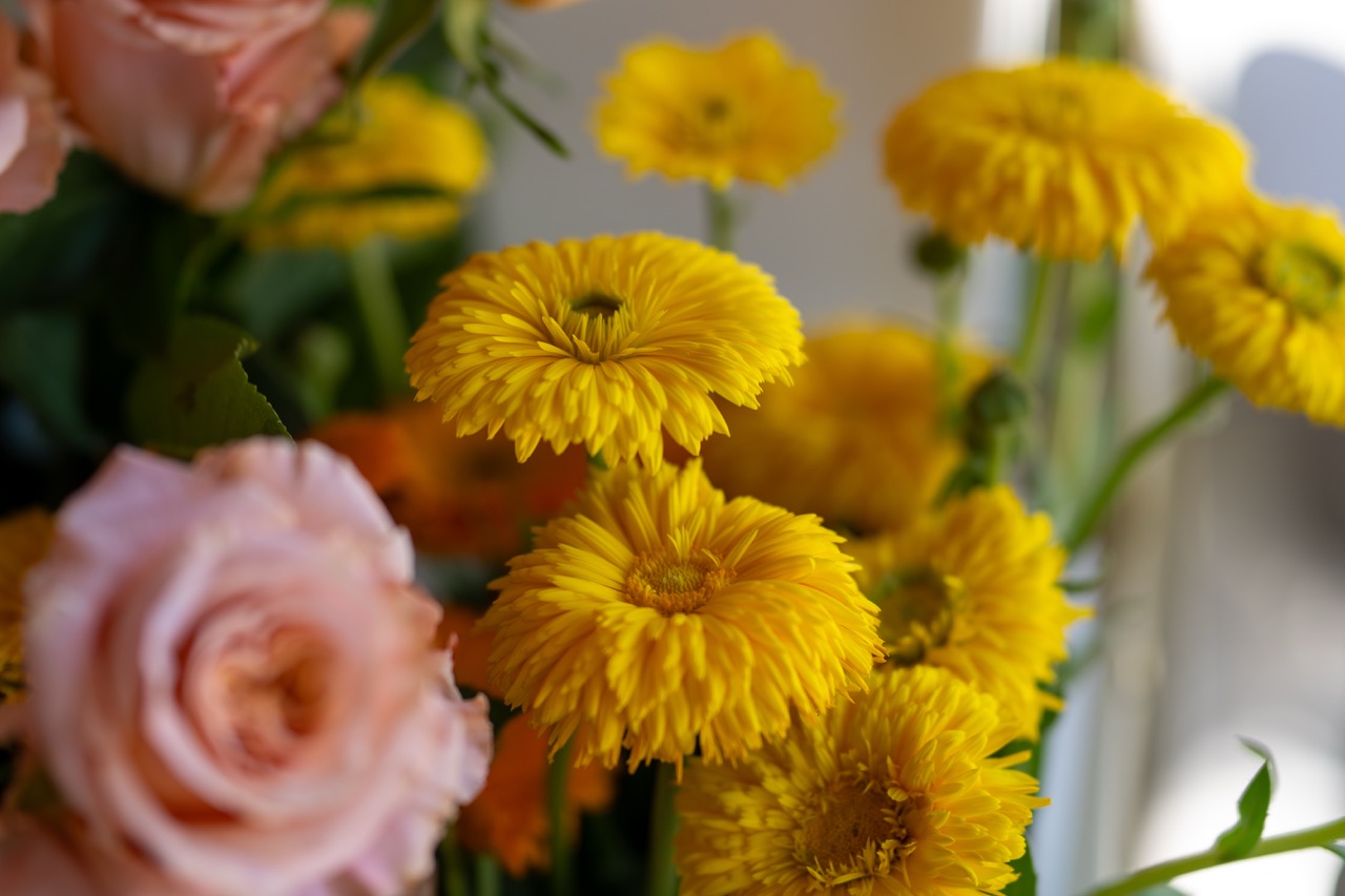 Ms. Bloom Bar floral experience